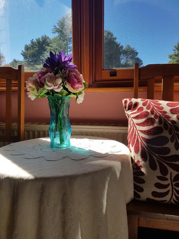 Superior Queen Room with Garden View